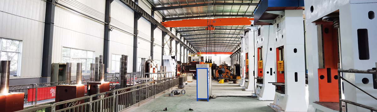 專注伺服螺旋壓力機(jī)